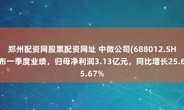 郑州配资网股票配资网址 中微公司(688012.SH)发布一季度业绩，归母净利润3.13亿元，同比增长25.67%