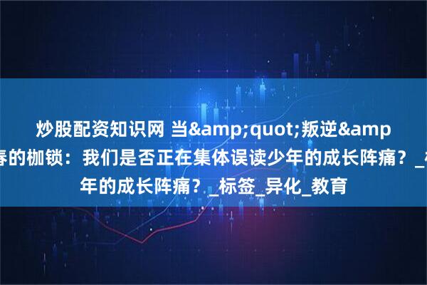 炒股配资知识网 当"叛逆"成为青春的枷锁：我们是否正在集体误读少年的成长阵痛？_标签_异化_教育
